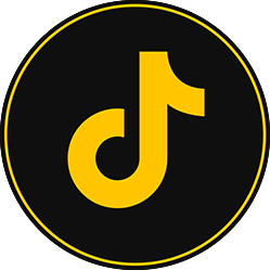 TikTok icon