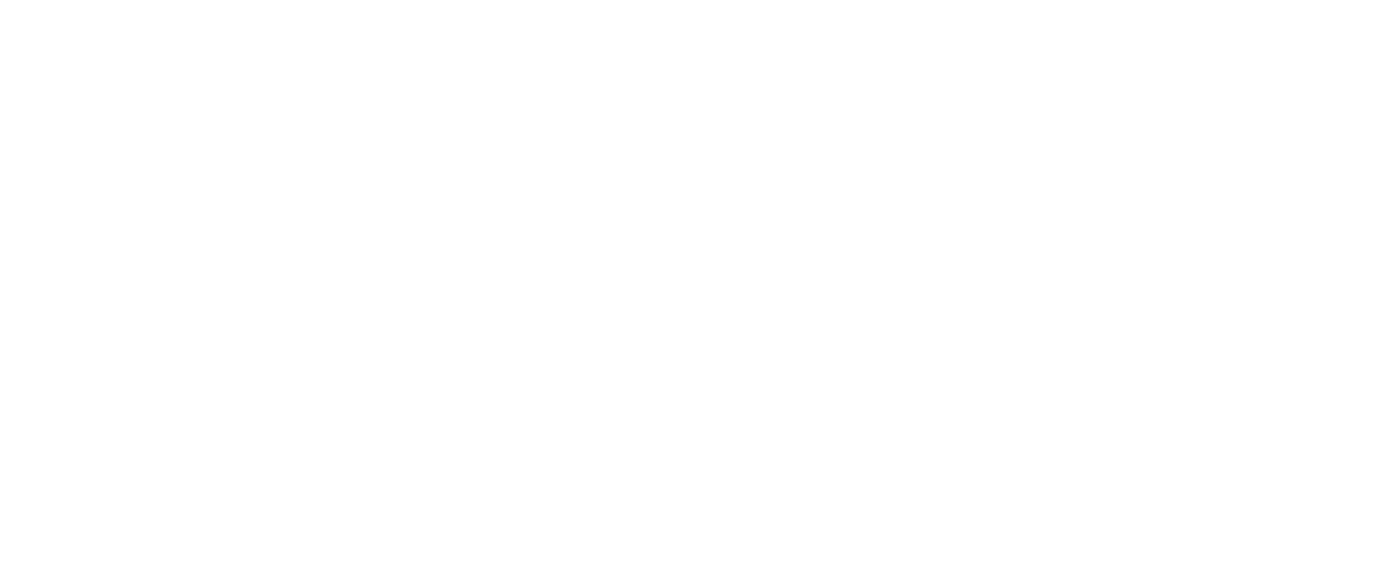 Rapid Travel Group logo in white