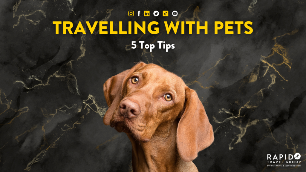 5 Tips for Travelling with Pets