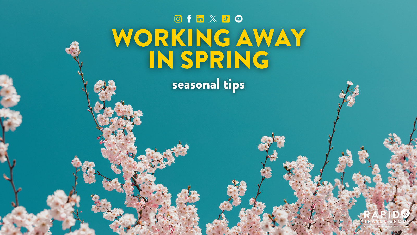 Working Away In Spring: Seasonal Tips